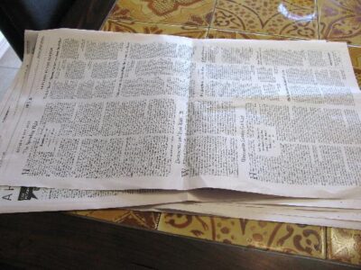 Easy Newspaper Pots Image